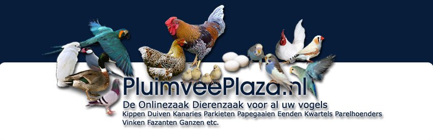 radium Kreta bedelaar PluimveePlaza.nl - De Online Vogelwinkel